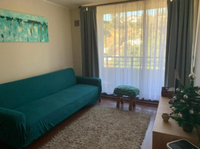 Hermoso departamento a metros de la playa